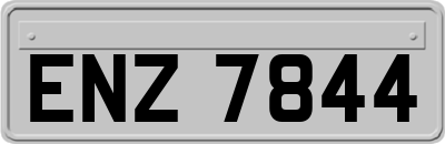 ENZ7844