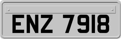 ENZ7918
