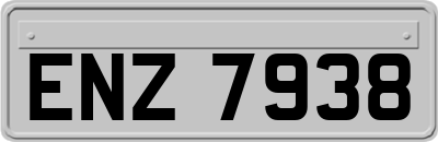 ENZ7938