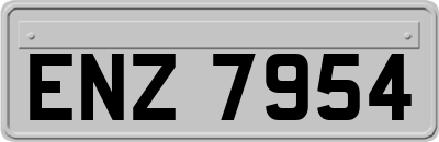 ENZ7954