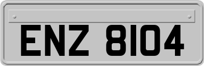 ENZ8104