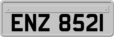 ENZ8521