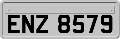ENZ8579