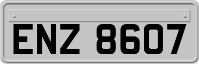 ENZ8607