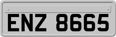 ENZ8665