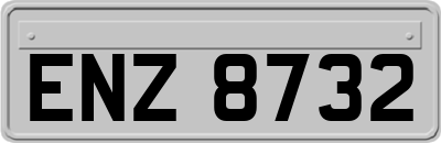 ENZ8732
