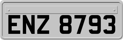 ENZ8793