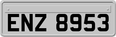 ENZ8953