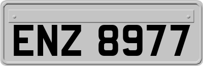 ENZ8977