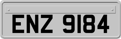 ENZ9184