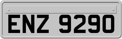 ENZ9290