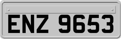 ENZ9653