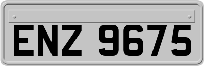 ENZ9675