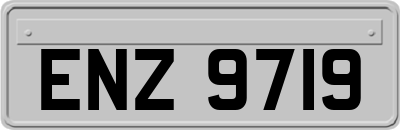 ENZ9719