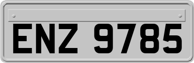 ENZ9785