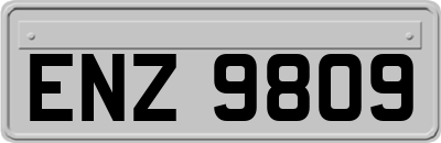 ENZ9809