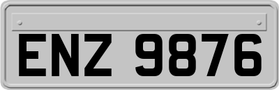 ENZ9876
