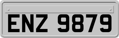 ENZ9879