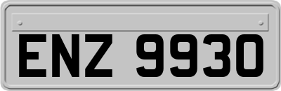 ENZ9930