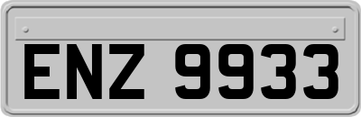 ENZ9933