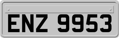 ENZ9953