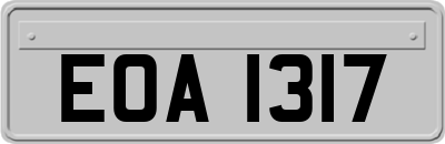 EOA1317