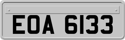EOA6133
