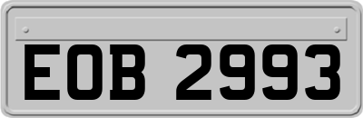 EOB2993