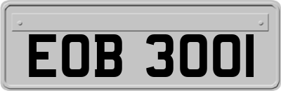 EOB3001