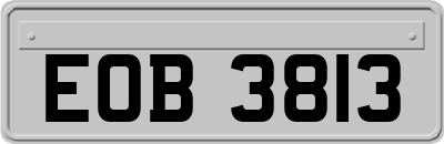 EOB3813