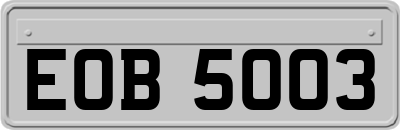 EOB5003