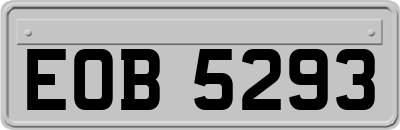 EOB5293