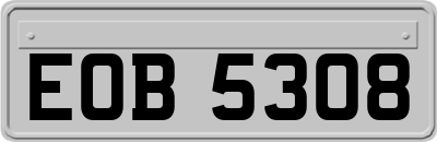 EOB5308
