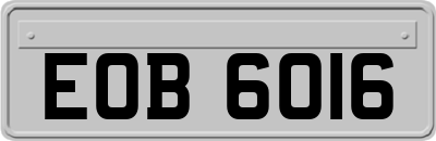 EOB6016