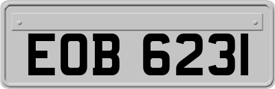 EOB6231