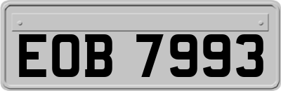 EOB7993
