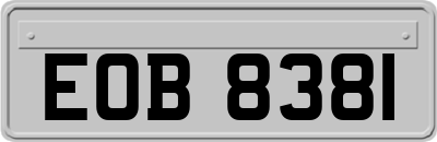 EOB8381