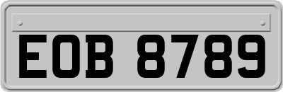 EOB8789