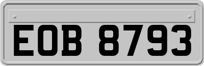 EOB8793