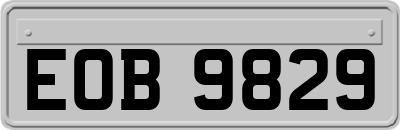 EOB9829