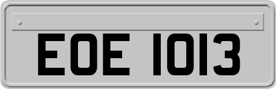 EOE1013