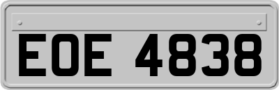 EOE4838