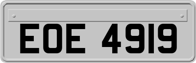 EOE4919