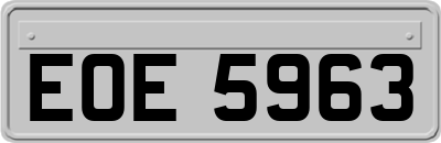 EOE5963