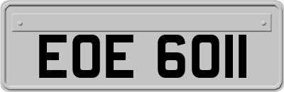 EOE6011