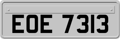 EOE7313