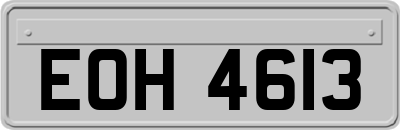 EOH4613
