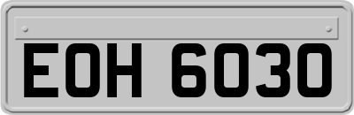EOH6030