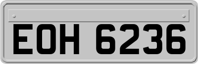 EOH6236