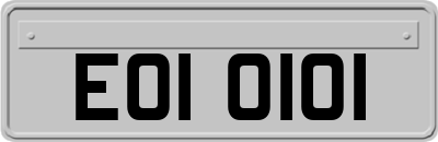 EOI0101